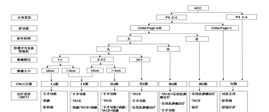 什么样的肝癌能够手术切除？