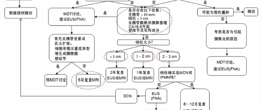 发现胰腺囊性肿瘤应该怎么办？